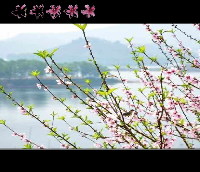 三月桃花雨 截图 2