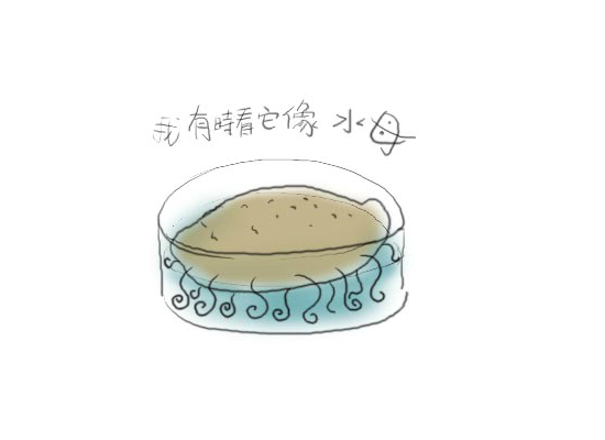 家园（未知） 截图 1/6