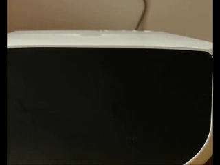 定格动画——休闲小盼盼（可乐老鼠） 截图 4/8