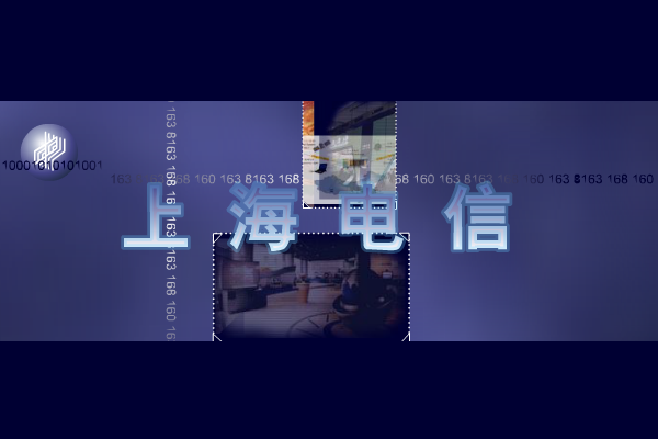 上海电信（阿霉） 截图 4/8