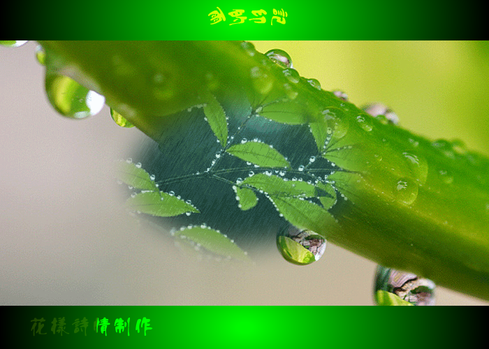 雨的印记（火星人QQ） 截图 1/8