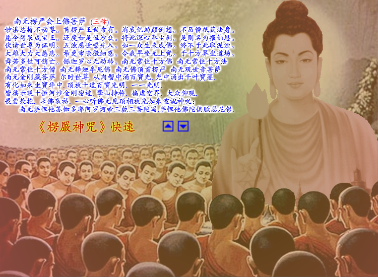 楞严神咒 字幕版（sw） 截图 6/8