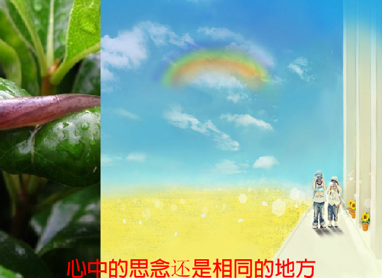 回家（阳光愚石） 截图 4/8