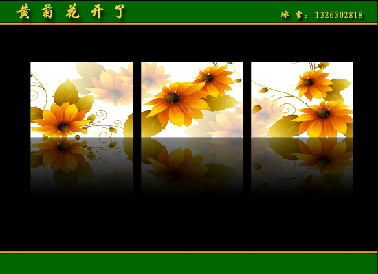 黄菊花开了 截图 1