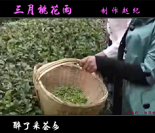 三月桃花雨（赵纪） 截图 5/8