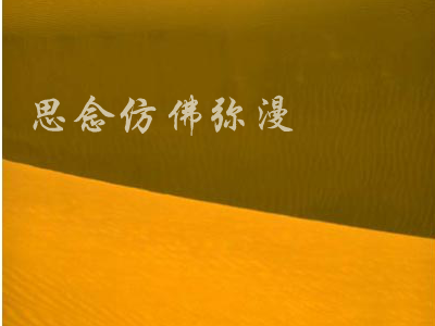 丝路（BB） 截图 5/8