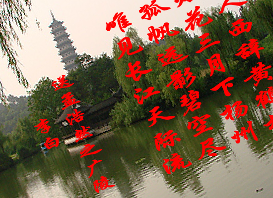 放飞网络（边达） 截图 6/8
