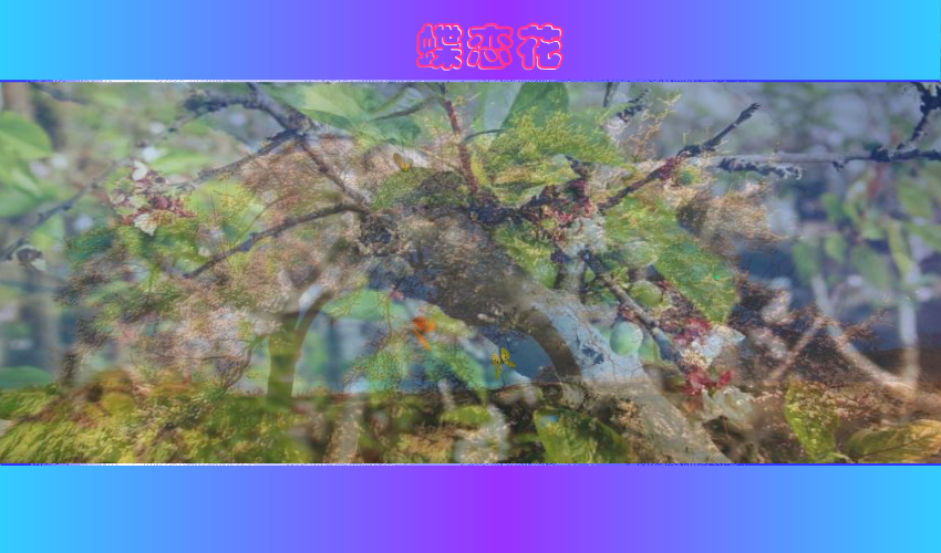 蝶恋花（一缕幽香） 截图 4/8