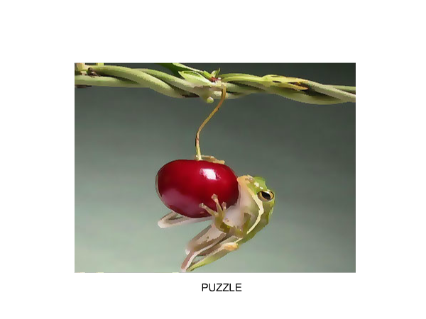小滑稽青蛙拼图 截图 2/3