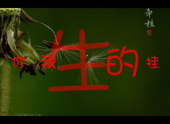 你是我一生一世的牵挂 截图 2
