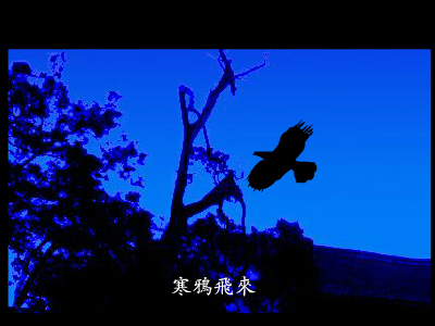 睡莲（坏玉） 截图 5/8