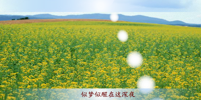 游鸿明 爱一回伤一回（未知） 截图 2/8