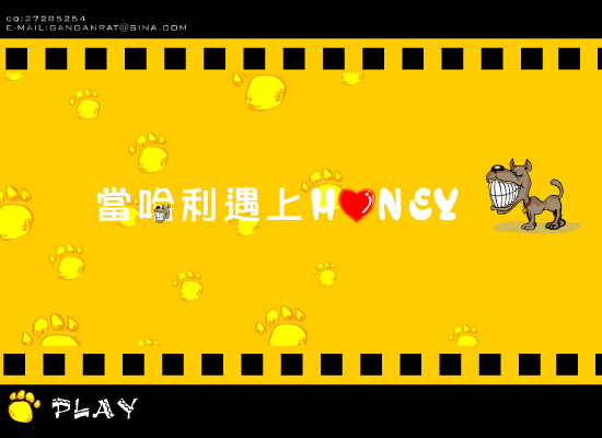 当哈利遇上honey（绿野寻踪） 截图 6/8