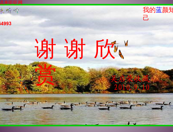 说来听听-蓝颜知己.swf（WQY） 截图 3/8