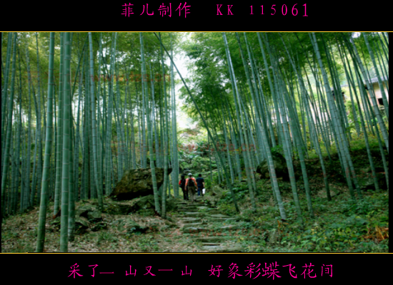 紫竹花开七月天（612955） 截图 5/8