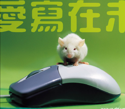 不能没有你[那英]（anjt） 截图 6/8