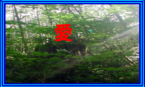 期待重逢.为YLY作.swf（WQY） 截图 6/8
