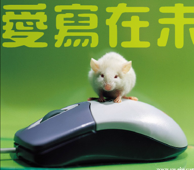 不能没有你[那英]（anjt） 截图 5/8