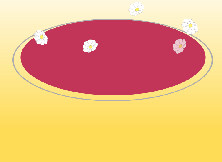 感恩节装扮火鸡 截图 1/8