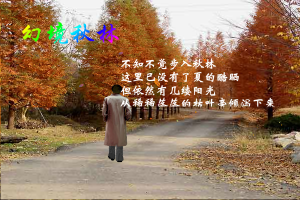 幻境秋林（yriql） 截图 5/7