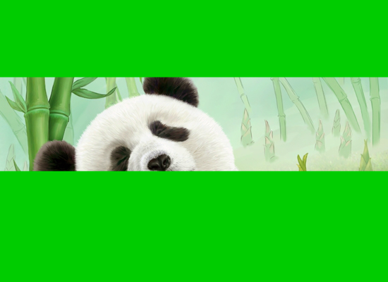 94年美国世界杯歌曲我们是冠军（晨梦鸣） 截图 2/5