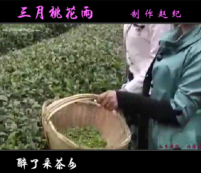 三月桃花雨（赵纪） 截图 1/8