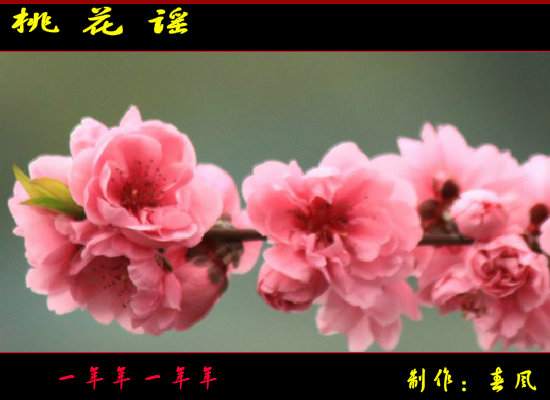 桃花谣（指间春色（春风）） 截图 4/8