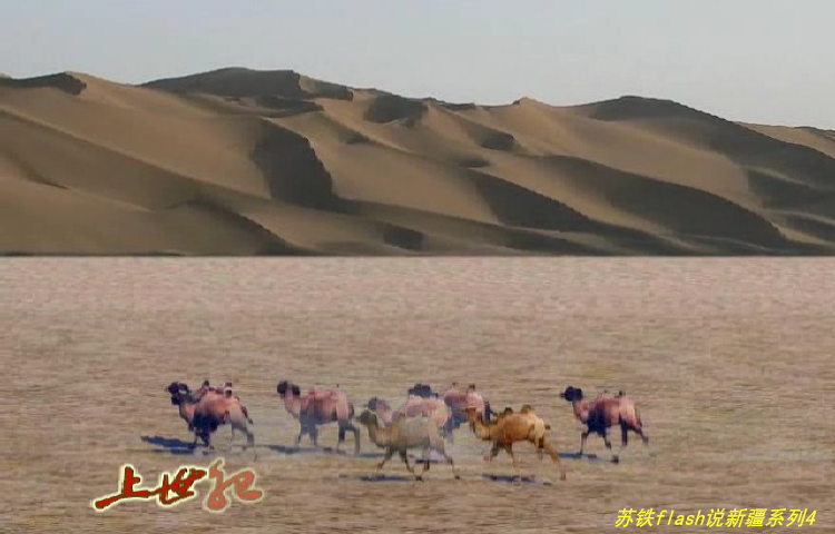 天边国宝生灵（苏铁） 截图 8/8
