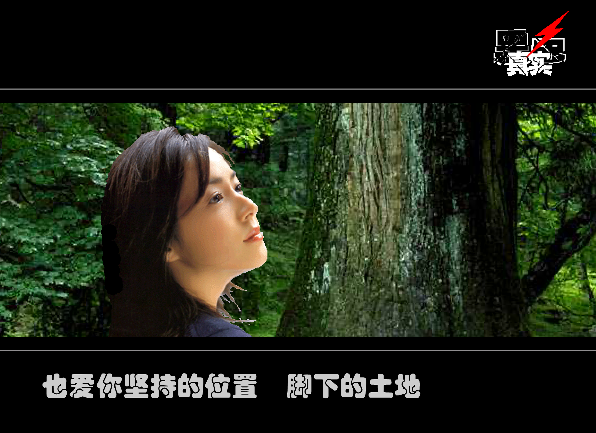 致橡树舒婷（黑色真实） 截图 7/8