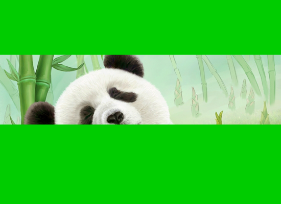 94年美国世界杯歌曲我们是冠军（晨梦鸣） 截图 3/5