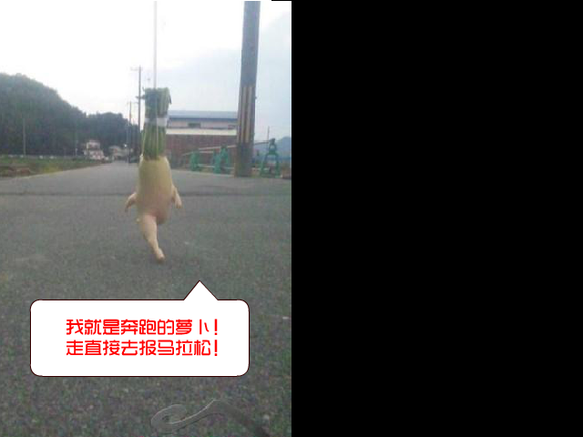 新奔跑的萝卜 截图 2/6