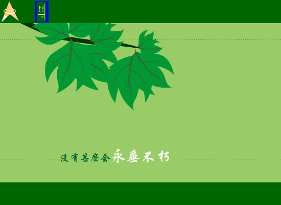 王菲：红豆（陈照飞） 截图 4/8