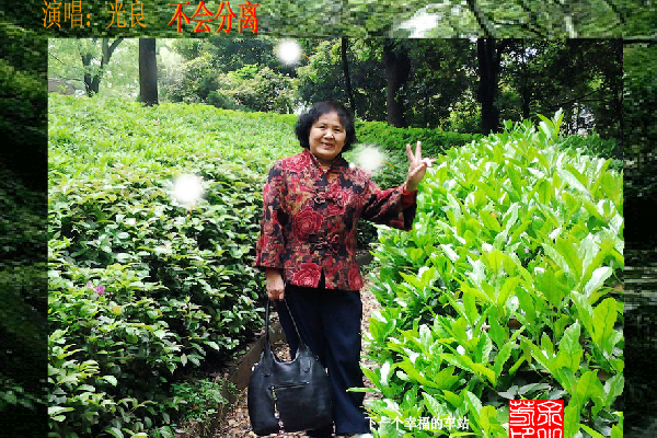 不会分离（sz_yxf） 截图 7/8