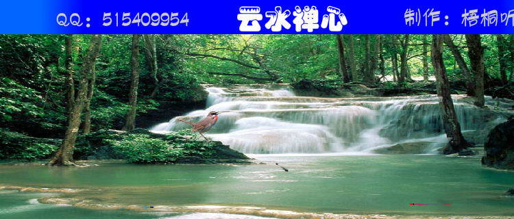 云水禅心 截图 1
