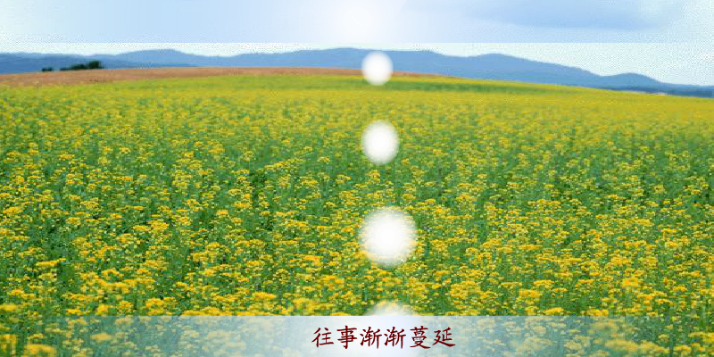 游鸿明 爱一回伤一回（未知） 截图 6/8