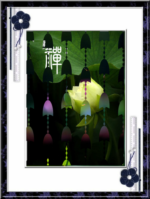 禅（莲叶荷田田） 截图 3/3