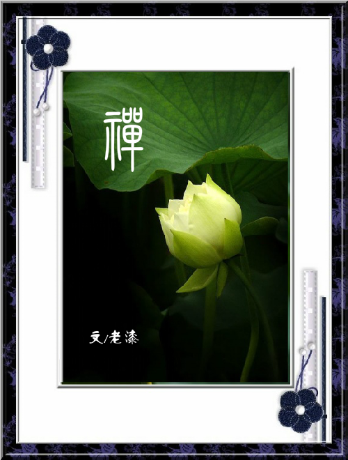 禅（莲叶荷田田） 截图 1/3