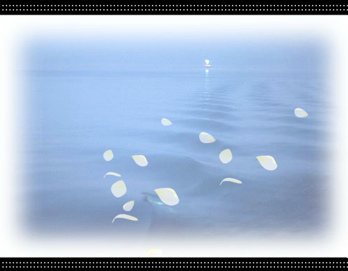 彼岸花[王菲]（马宁宁） 截图 3/8