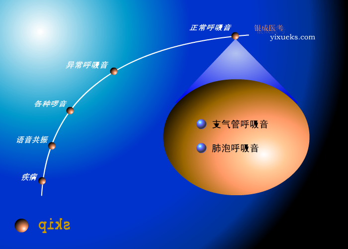 肺部检查 截图 2
