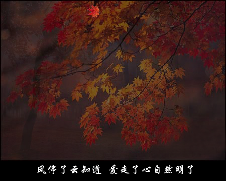 答案随着枫叶飘（mszxf） 截图 8/8