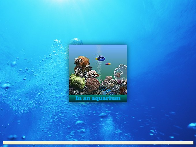 水族箱珍藏宝贝 截图 1/2