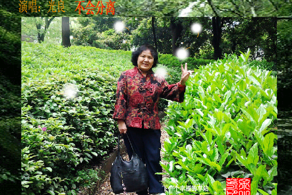 不会分离（sz_yxf） 截图 8/8