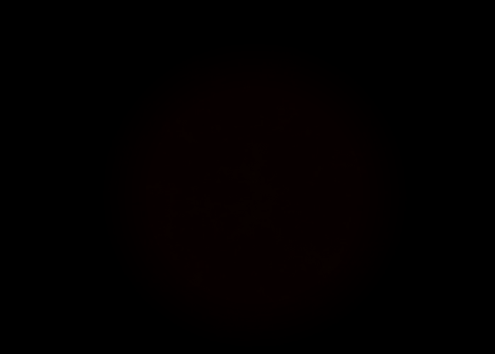 公主约会 截图 3/8