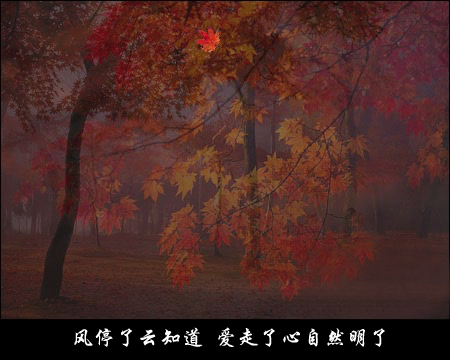 答案随着枫叶飘（mszxf） 截图 7/8