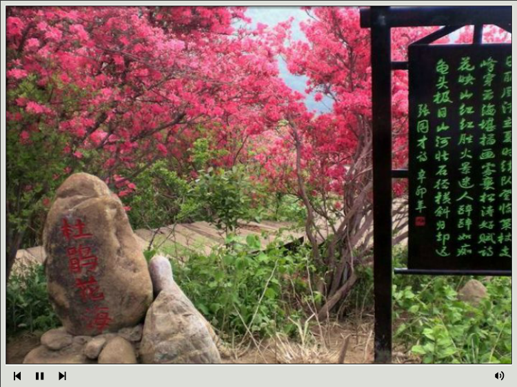 杜鹃花海—麻城观光摄影（浔阳司马） 截图 6/8
