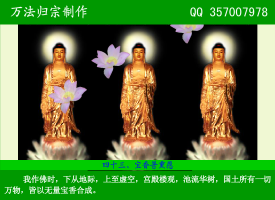 阿弥陀佛四十八大愿（万法归宗） 截图 1/8