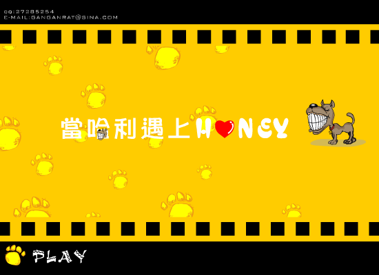 当哈利遇上honey（绿野寻踪） 截图 4/8