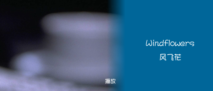 windflowers(风飞花) 截图 1