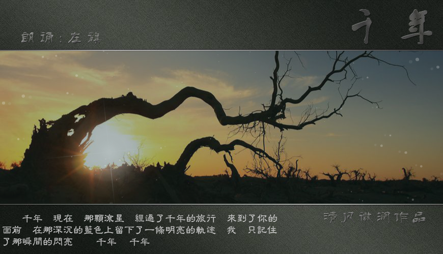 千年（yt005） 截图 1/3