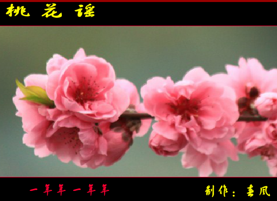 桃花谣（指间春色（春风）） 截图 8/8